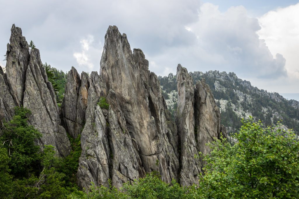 Двуглавая сопка фото